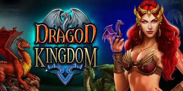 Dragon Kingdom: Pola Stabil Untuk Pemula Agar Cepat Menang